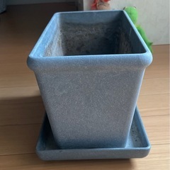 プランター の画像