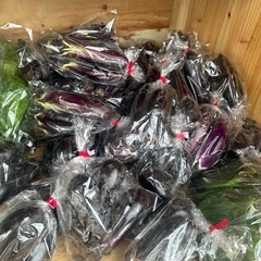 新鮮野菜の画像