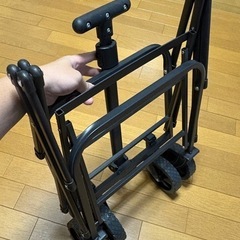 キャリーワゴンの画像