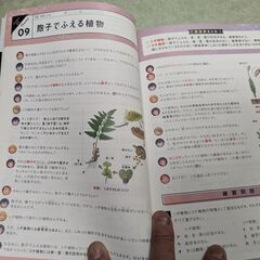 (取引中)　中学地理　参考書　テキストの画像