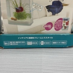【新品】水槽　水作　飼育セット　の画像