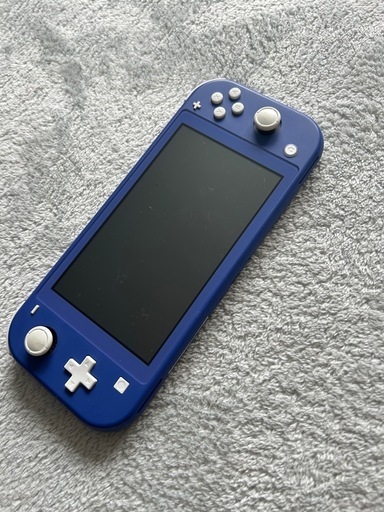 Switchライト (1102 aoaom) 岩手飯岡のポータブルゲーム