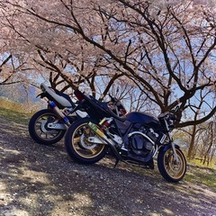 CB400sfの画像