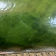 アメリカ製　ダイニングチェアーの画像