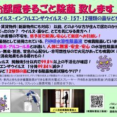 ★低価格で、お家の室内噴霧除菌！（PHMB水溶性除菌液噴霧…