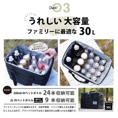 クーラーボックス 保冷バッグ グレー 大容量 30L 保冷 保温 3層断熱の画像