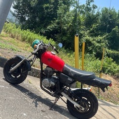 エイプ　50 車体　バイクの画像