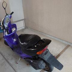 HONDA　ライブディオ　AF35 の画像