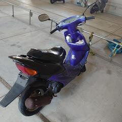 HONDA　ライブディオ　AF35 の画像