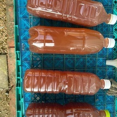 ＰＳＢ（光合成細菌）