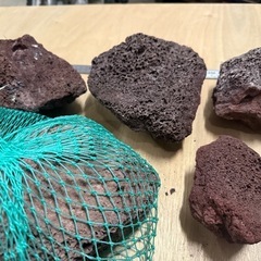 赤溶岩　メダカ　ビオトープ　熱帯魚　アクアリウム　水槽　園芸　
の画像