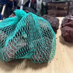 赤溶岩　メダカ　ビオトープ　熱帯魚　アクアリウム　水槽　園芸　
の画像