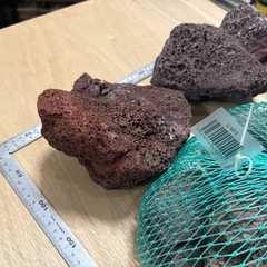 赤溶岩　メダカ　ビオトープ　熱帯魚　アクアリウム　水槽　園芸　
の画像