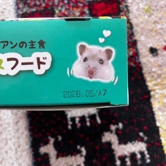 ハムスター　ご飯、ふとん、わたの画像