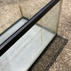 No.3水槽の画像