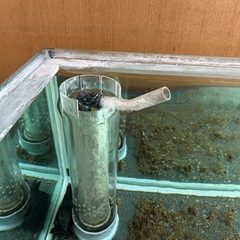 ガラス水槽　オーバーフロー1200
の画像