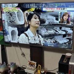 Panasonic 55インチ ビエラ TH-L55DT60 自立式壁掛けスタンド付きの画像