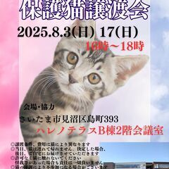 【さいたま市見沼区】8/3(日)夕方からハレノテラス保護猫譲渡会