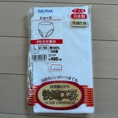 婦人用肌着の画像