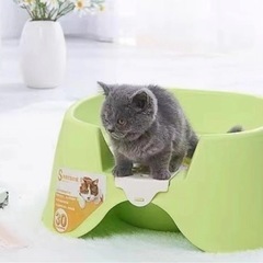 ペットの画像