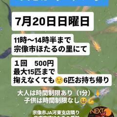 　めだか掬い♪　宗像市