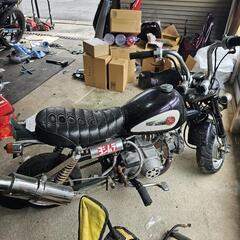 倉庫整理　モンキー　z50jの画像