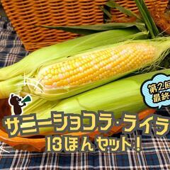 【お取引者全て決定】【第3回目最終】スイートコーン サニーショコ...