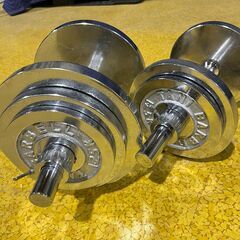 ダンベルセット　TANIBARBELL の画像