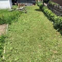 清川村・茅ヶ崎市　草刈りプチプラン