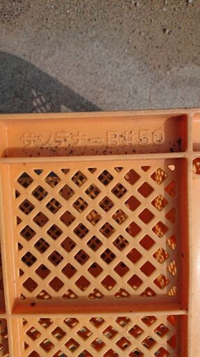 収穫コンテナ サンテナーb#50