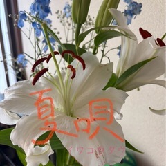 YouTube更新しましたー