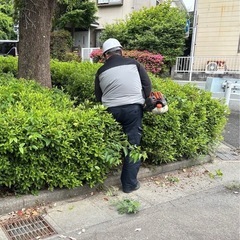 【単発】軽作業、集草　11000〜の画像