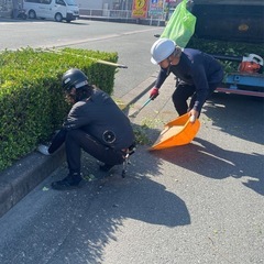 【単発】軽作業、集草　11000〜の画像