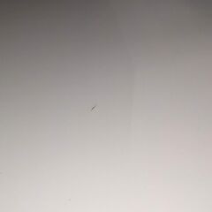 【取引予定あり】ニトリ製・便利なキッチン収納棚ホワイト／引っ越しのためお譲りします！の画像