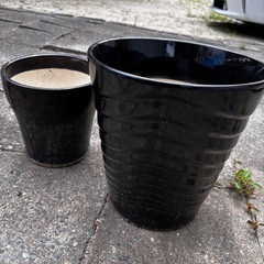 鉢　観葉植物の画像