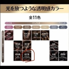 L'Oreal Paris(ロレアルパリ) ヘアカラー  オレオリュクス 6CB  クラシッククールブラウン　の画像