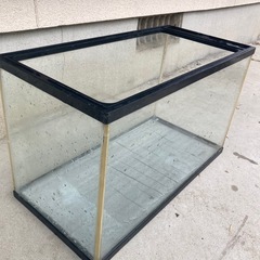 ガラス水槽の画像