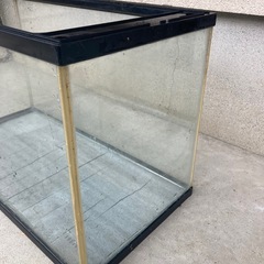 ガラス水槽の画像