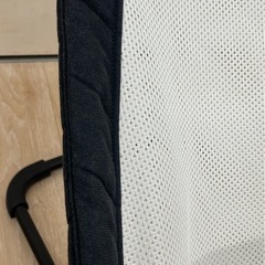 【ジャングルジャングル岸和田和泉インター店】ベビービョルン バウンサー メッシュ 和泉市 堺市 岸和田市 泉大津市 高石市 泉北郡熊取町の画像