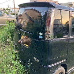 日産　ルークスハイウェイスターの画像
