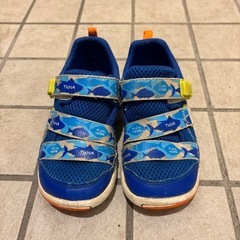 ムーンスター　carrot　魚柄 ベルクロ キッズスニーカーの画像