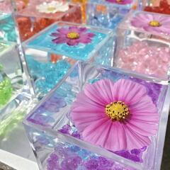 全国に友達作りたいな☆彡