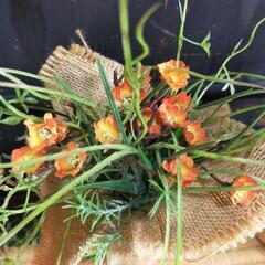 造花3コセットの画像