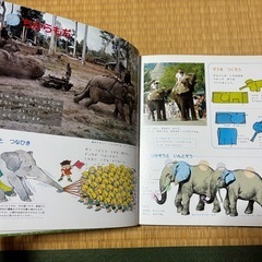 科学ブック　20冊の画像