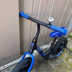 キックスターの画像