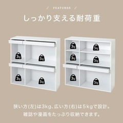 [幅91] ディスプレイ収納ラック フラップ扉付き スッキリ収納 2個組  LOWYAの画像