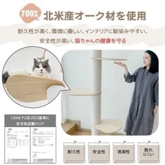 【受け渡し予定者決まりました】キャットタワーの画像