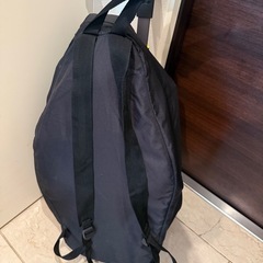 doona ドゥーナ　三輪車　リキトライクの画像