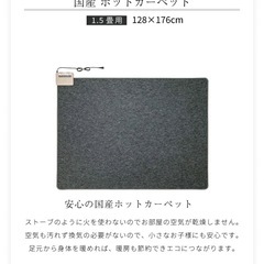 電気カーペットの画像
