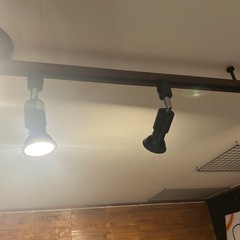 ダクトレール用スポットライト電球6個！電球のみです！の画像